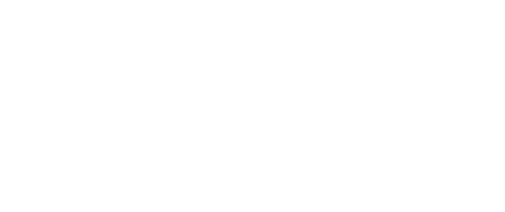 flydigito